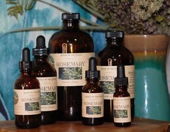ROSEMARY Extract Remember Memory Nourish ORGANIC FOLK Tincture