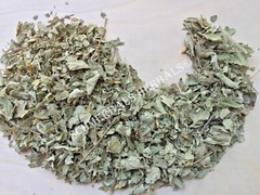 Dream Herb, Calea zacatechichi, Organic Leaf, 1 oz FreeShip ~ Schmerbals Herbals