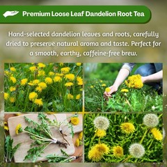 Diente de Leon 30g Dandelion 1.3oz Loose Herbal Tea from Peru