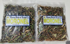 Moronel Planta de La Vida Te de moronel moronel organico hierba mexicana