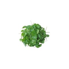 Gotu Kola Powder Organic Herb From Thailand (Centella Asiatica) Tracking NO