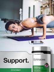 Echinacea Capsules 1300mg | 300 Count | Vegan, Non-GMO | by Horbaach