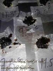 Wild Lettuce Extract Resin , Lactuca Virosa 12 Grams Fresh Homegrown organic