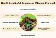 🌿 Himalaya Kapikachhu 60 Tabs x3 | Natural Male Wellness | Exp 03/2027 | Herbal