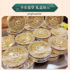NON-GMO Organic Whole Wild Tibet Cordyceps Superfood 2pcs Cordyceps Sinensis