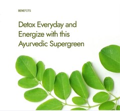 Premium Moringa Powder – Energy, Immunity & Wellness Support