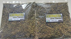  Gobernadora Tea Natural Hierbas Mexicanas 1LB Larrea tridentata Chaparral leaf 