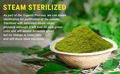 USDA Organic Moringa Powder 1.10 lbs | Gluten-Free Natural Superfood
