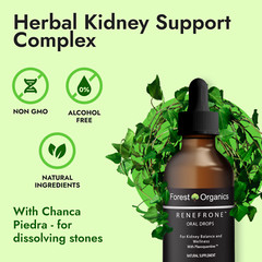 Kidney Support Uric Acid Cleanse Herbal Blend-Kidney Health Stone Breaker