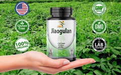 Organic Jiaogulan Herb Pills 100% Gynostemma Pentaphyllum Energy Boostr 500mg 3X