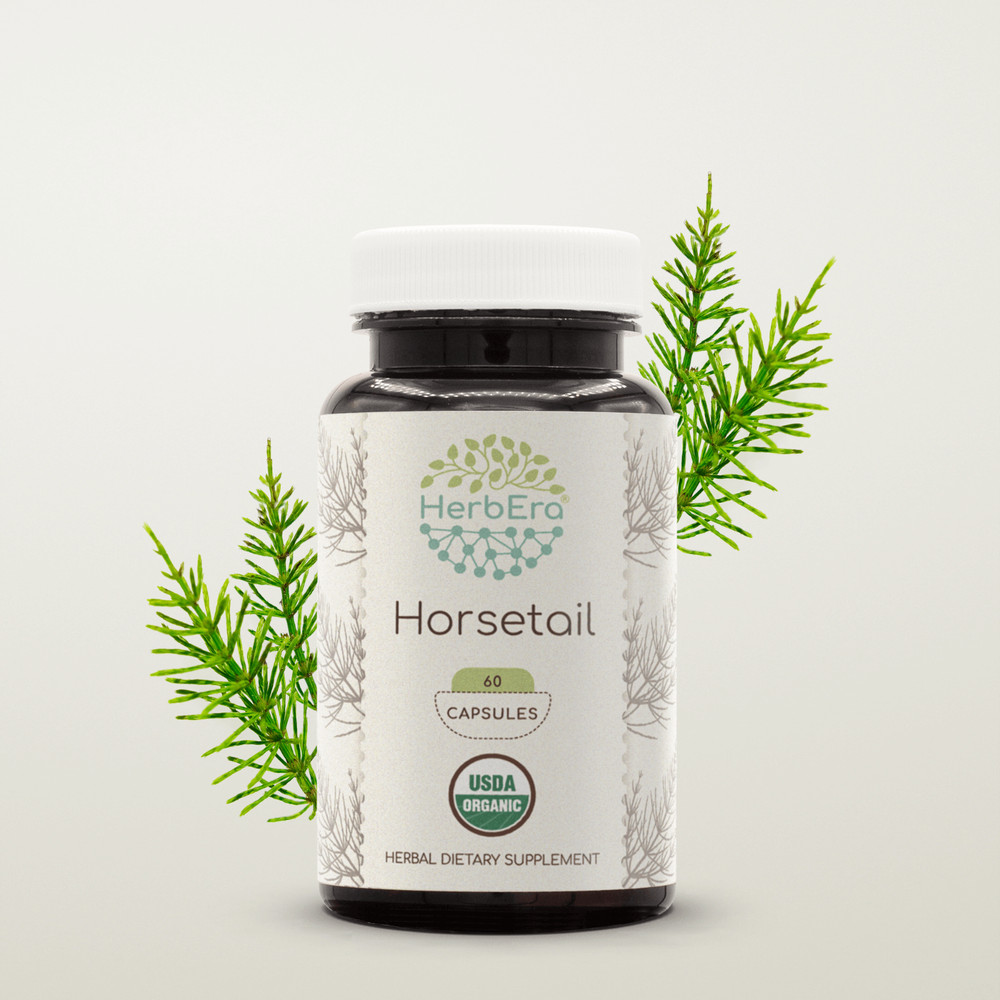 HerbEra Horsetail 60/120 Capsules, 500 mg, Organic Horsetail (Equisetum arvense)
