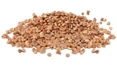 Indian Ayurvedic Chironji Seed Charoli Seed Buchanania Lanzan Seed