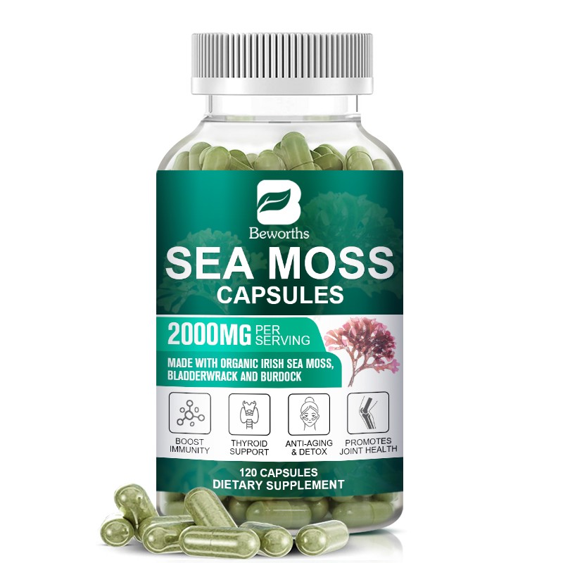 Organic Sea Moss Capsules 120ct Thyroid Support & Immune Booster w/Bladderwrack
