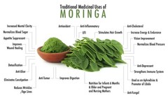 Moringa, Organic moringa Oleifera,Premium moringa seeds, semillas de moringa 4oz