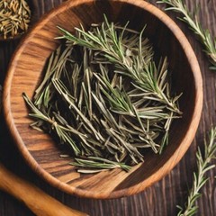 Rosemary Extract Rosmarinus officinalis Natural Herbal Rosemary Tincture USA