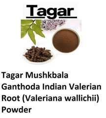 Tagar Mushkbala Ganthoda Indian Valerian Root (Valeriana wallichii) Powder
