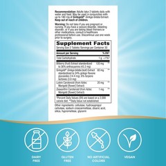 Ginkgo Biloba Eye Health Supplements, 60mg, Gluten Free, 60 Tablets – Supports V