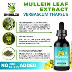 Undelio Mullein Leaf Extract For Hung Cleanse 2 oz Respiratory & Immune Support