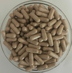 ORGANIC Terminalia Arjuna Capsules For Healthy Heart & Blood Pressure