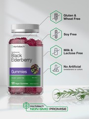 Black Elderberry Gummies | 120 ct | Sambucus, Zinc and Vitamin C | by Horbaach