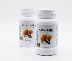 Gano Excel Ganoderma Lucidum 90 Capsules X2 Reishi Lingzhi Herbal Supplement