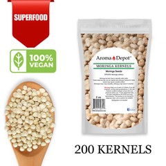 Moringa KERNELS 2 oz. Seeds oleifera Shelled 250 Semilla De Moringa Wholesale