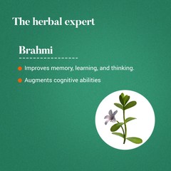 Himalaya Brahmi for Improved Alertness & Focus 240 Tablets (Pack of 4) free ship