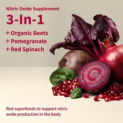 Nitric Oxide Beet Root Organic Powder, Heart & Blood Pressure – Snap Supplements