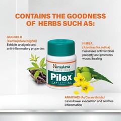 6X Himalaya Wellness Pilex Tablets 360 Count Herbal Ayurvedic Supplement