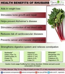 Rhubarb Tincture- Clears Infections, Soothes Bowels, Expels Parasites from body.