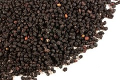 Elderberry Wild Crafted Whole Elderberries Dried ~ 4 oz. Freshly Packed USA