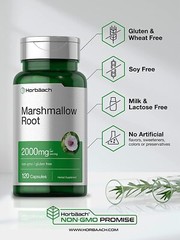 Marshmallow Root Capsules | 2000mg | 120 Count | Non-GMO | by Horbaach