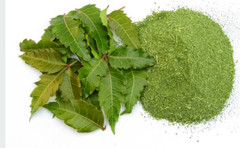 Neem Leaf Organic – Flakes or Powder 1/4/8 oz | Natural Cleansing Herb