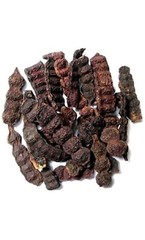 Shikakai Whole, Acacia Concinna Herbs US seller 3.5 Oz(100gm)