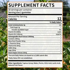 Ashwagandha Gummies – Balance Emtional And Energy,Relief Stress,30 To 60 pcs