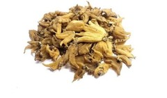 100 % Pure Dactylorhiza hatagirea salam panja Salem Panja Hatajari WHOLE-10gm