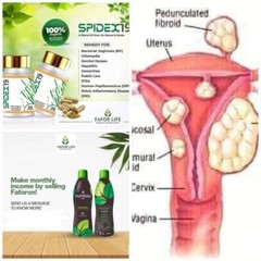 1 FAFORLIFE SPIDEX 19 HERBAL MEDICINE FOR MEN & WOMEN. REMEDY FOR CHLAMYDIA..
