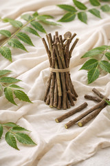 100 Pc Neem Sticks Azadirachta Indica Sticks DATUN for Teeth and Gums FREE SHIP
