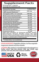 Kidney Detox Cleanser – Astragalus KIDNEY SUPPORT 700 Immune Support 6 Bottles