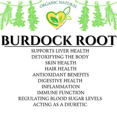 Burdock Root Organic Tincture Liquid Herbal Drops Extract Detox Plant-Base 2 oz