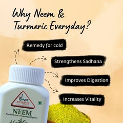 ISHALIFE Neem and Turmeric powder in veg capsules. 100 nos each Combo pack.