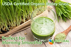 Barley Grass Powder – USDA Certified Organic Barley Grass Powder – Non-GMO