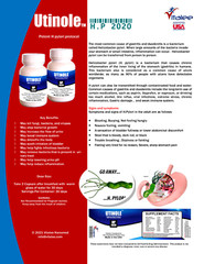 Utinole HP 2020- Econo Pack( 3 bottles of 60ct)