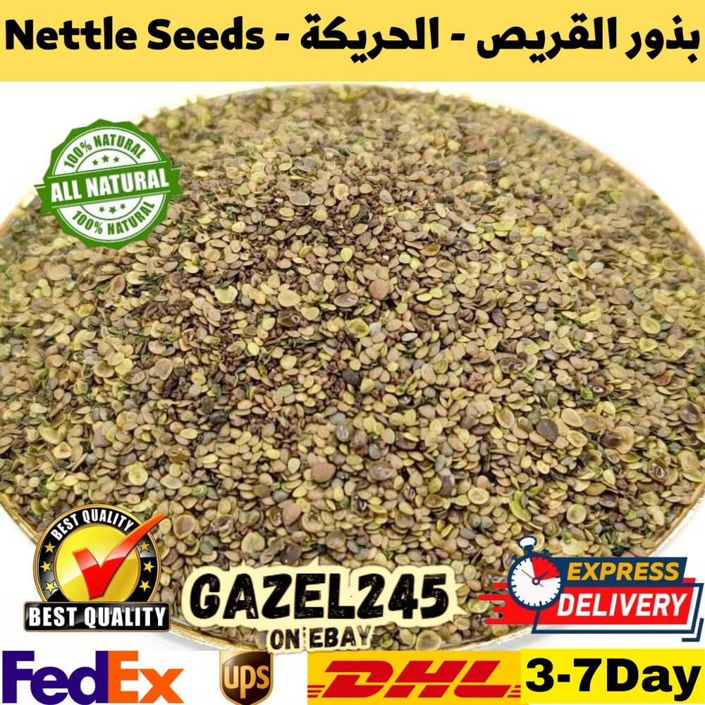 Nettle seeds Herbs Dried Fresh 100% Pure Natural Organic AA بذور القريص الحريكة