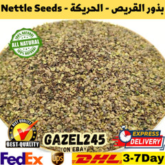 Nettle seeds Herbs Dried Fresh 100% Pure Natural Organic AA بذور القريص الحريكة