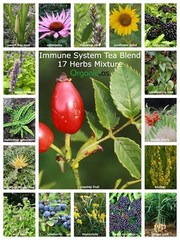 BOOST IMMUNE SYSTEM SUPPORT TEA – 17 selected natural herbs recipe w. Benefits