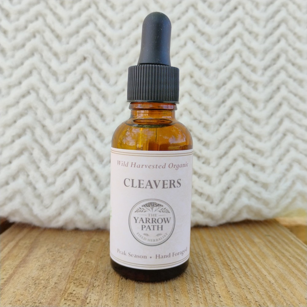 Organic Cleavers Extract Fresh Cleavers tincture, Wildcrafted 1 oz, lymph herb