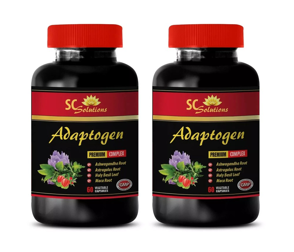 Amla fruit powder – ADAPTOGEN SUPPORT – Daily herbal balance 2 Bottles