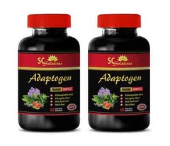 Amla fruit powder – ADAPTOGEN SUPPORT – Daily herbal balance 2 Bottles