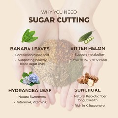 BANGPAE TEA Sugar Cutting Recipe – Korean Detox Tea Bags for Sugar and Glucos…